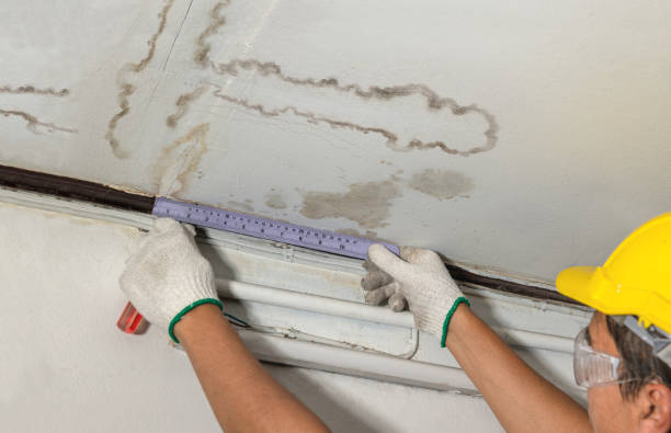 Reliable Burst Pipe Cleanup contractor in Florissant, CO by Water Damage Irwin